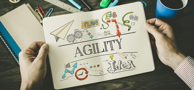 The agile approach